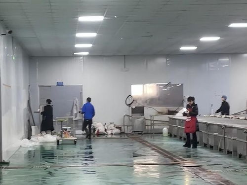 鹿哈毛肚爆單三千萬 品質危機與供應鏈誰人兜底？